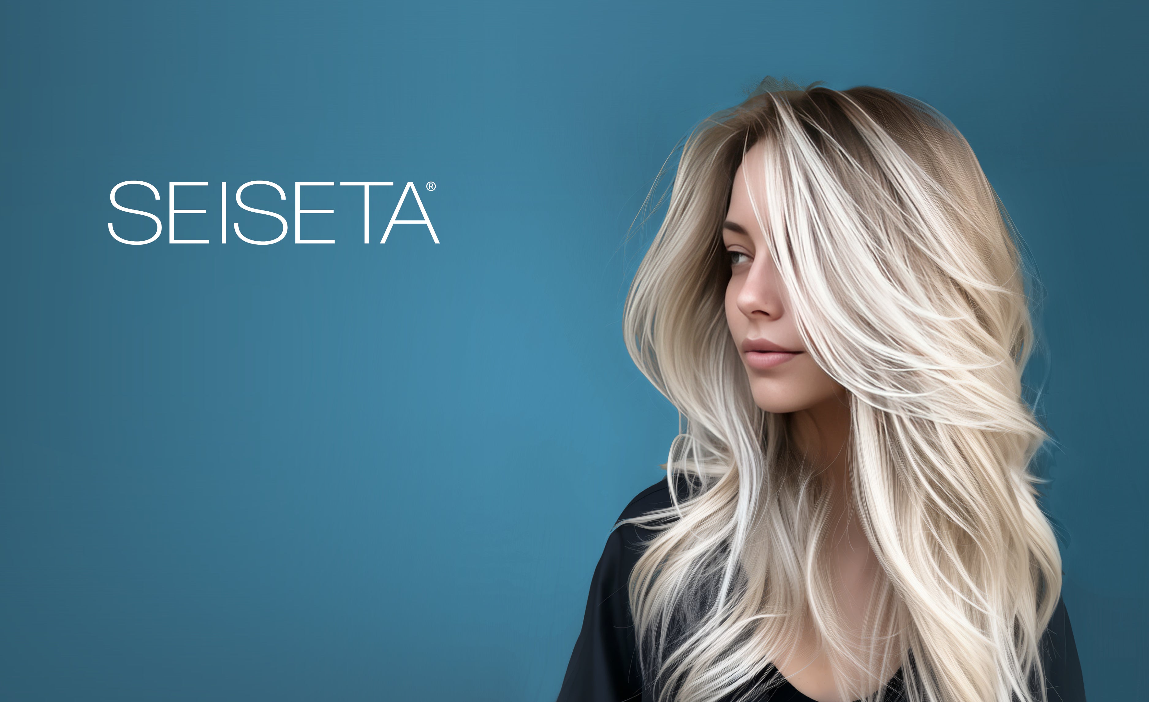Seiseta
